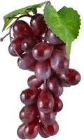 Grapes