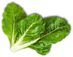 Blitva
