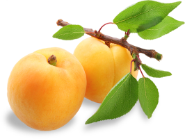 Apricot