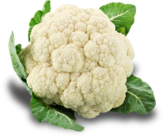 Karfiol