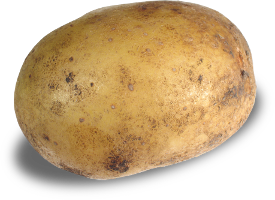 Krompir