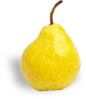 Kruška