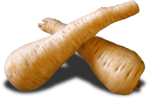 Paškanat