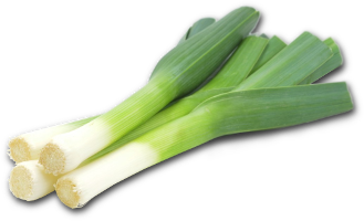 Praziluk
