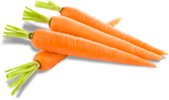 Šargarepa