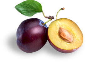 Plum