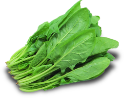 Spanać