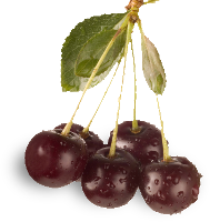 Cherries