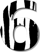 šest
