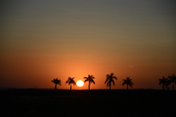 evening
