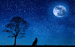 night