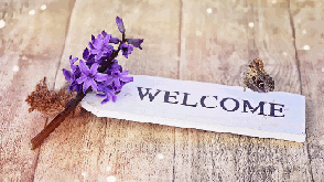 Welcome